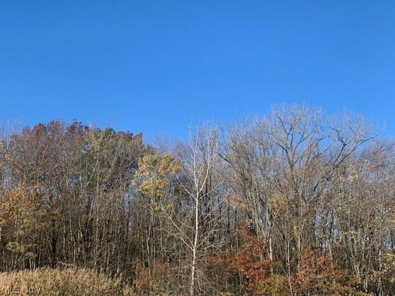 0000 Courtyard Drive, Lorain, OH 44053 Photo 16