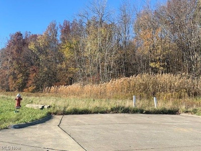 0000 Courtyard Drive, Lorain, OH 44053 Photo 17