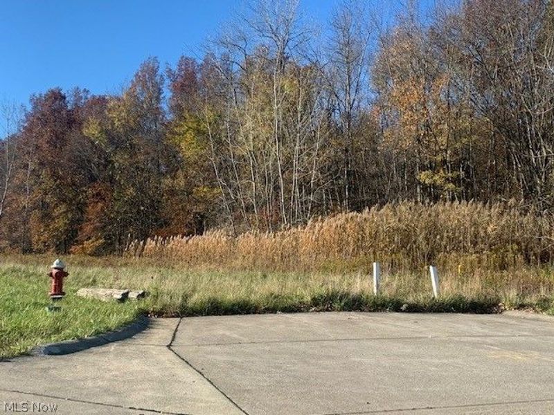 0000 Courtyard Drive, Lorain, OH 44053 Photo 18