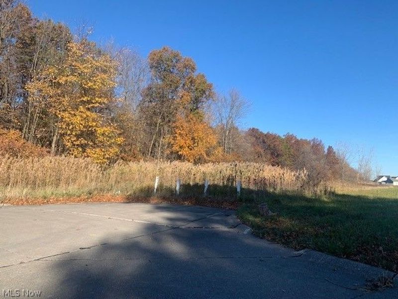 0000 Courtyard Drive, Lorain, OH 44053 Photo 4