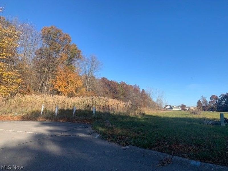 0000 Courtyard Drive, Lorain, OH 44053 Photo 5