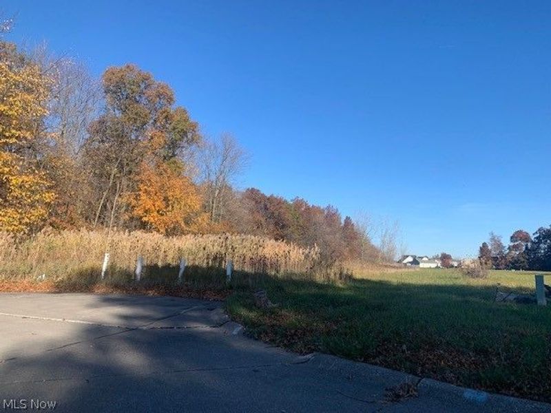 0000 Courtyard Drive, Lorain, OH 44053 Photo 6