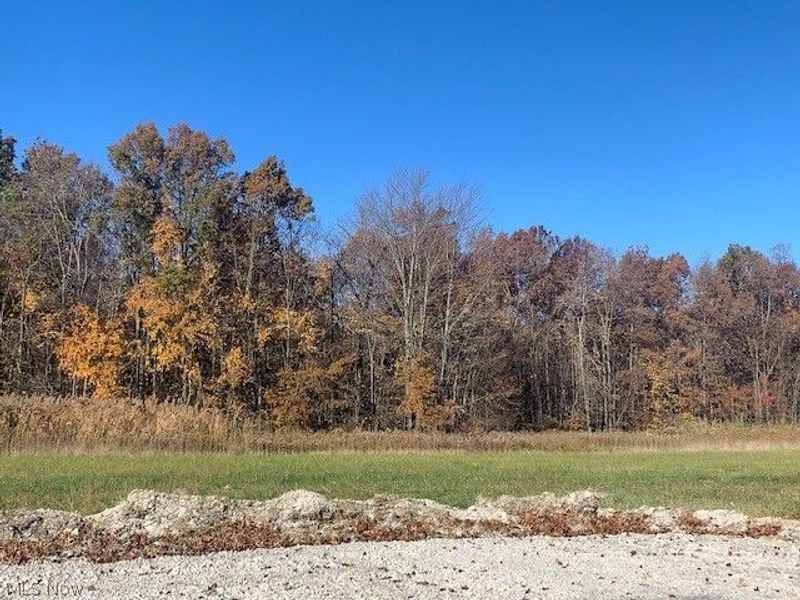 0000 Courtyard Drive, Lorain, OH 44053 Photo 7