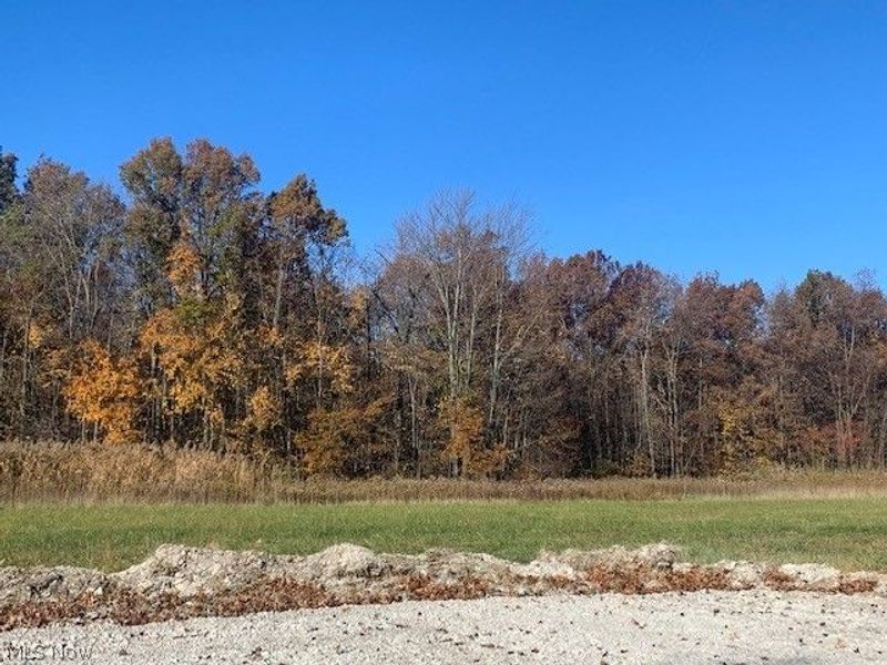 0000 Courtyard Drive, Lorain, OH 44053 Photo 8