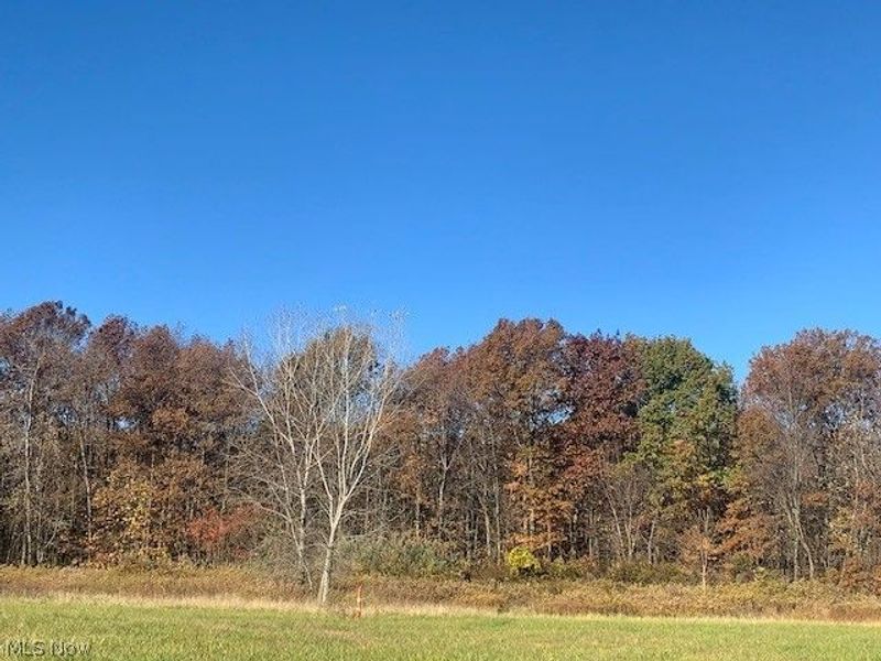 0000 Courtyard Drive, Lorain, OH 44053 Photo 9