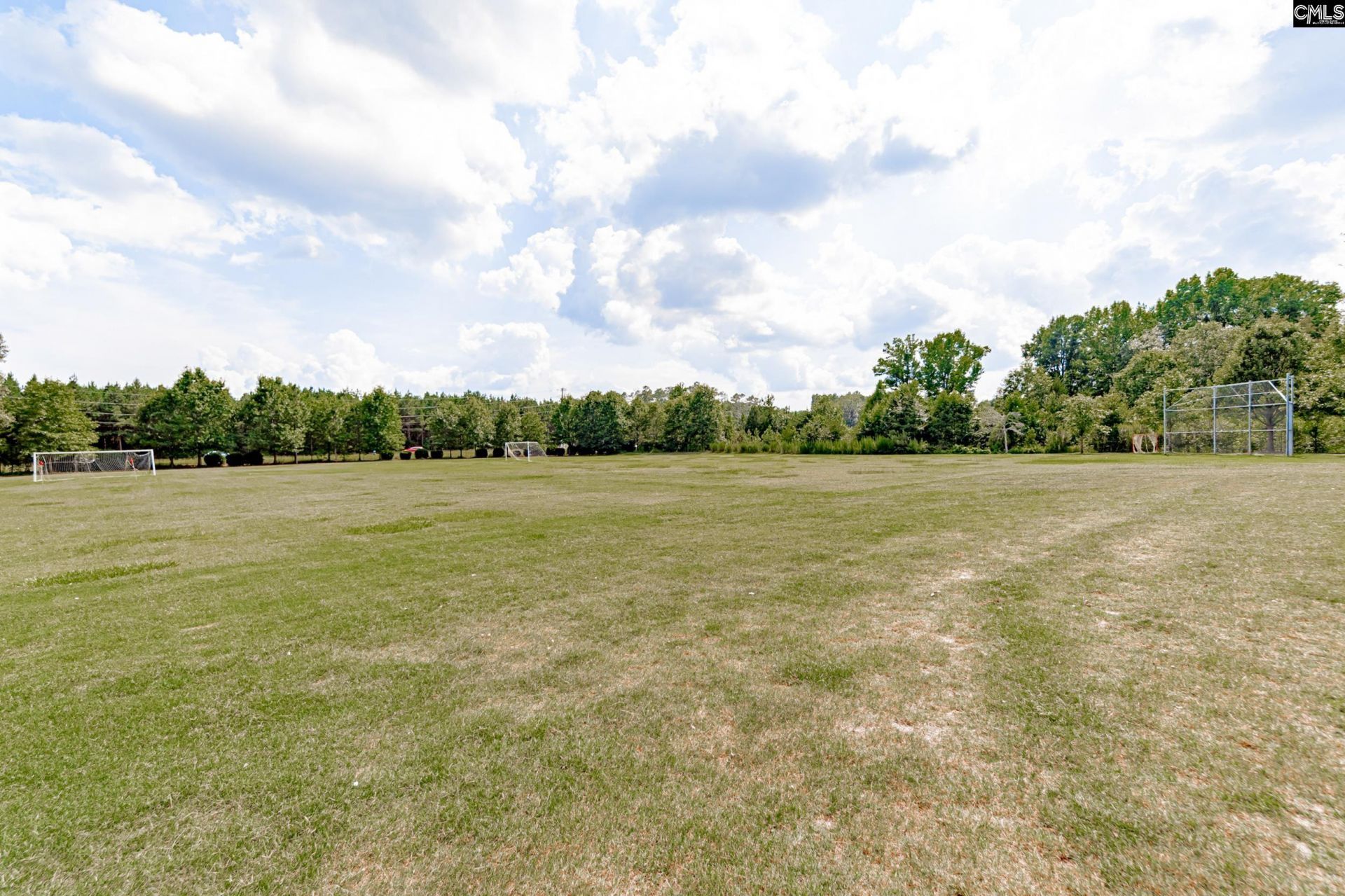 193 Crimson Queen Drive Photo 46