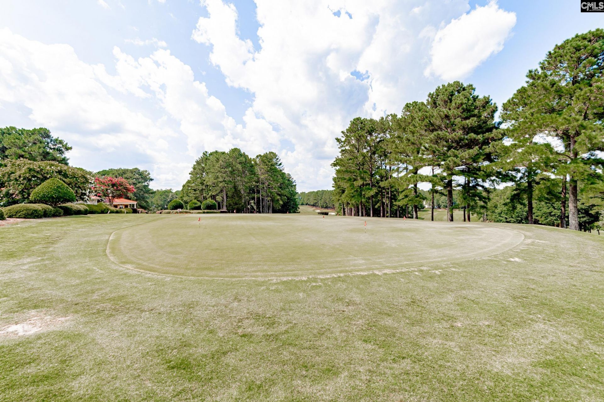 193 Crimson Queen Drive Photo 49