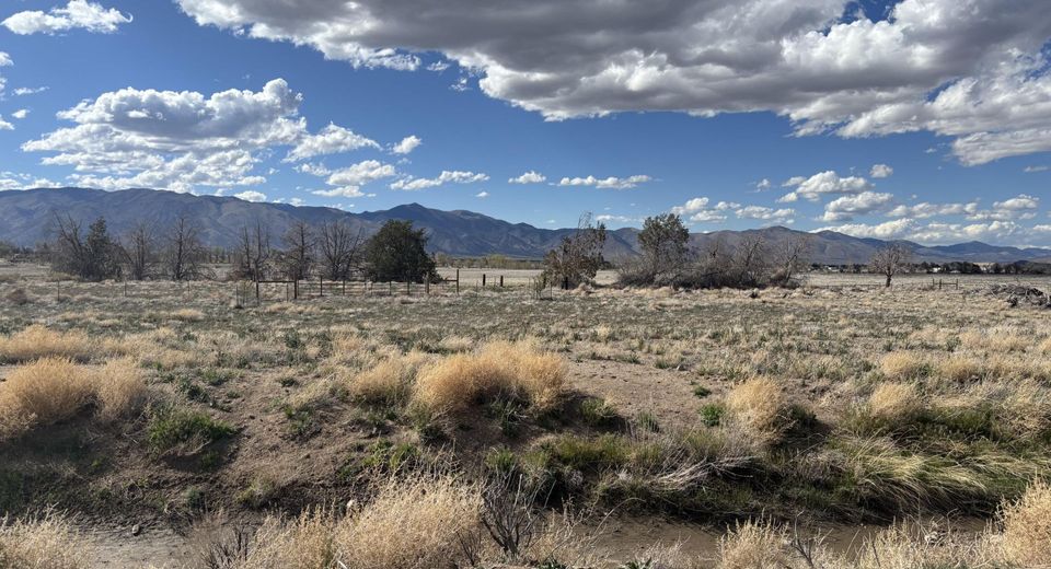 C1 Grant View Drive, Smith, NV 89430 Photo
