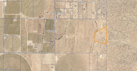 C1 Grant View Drive, Smith, NV 89430 Photo