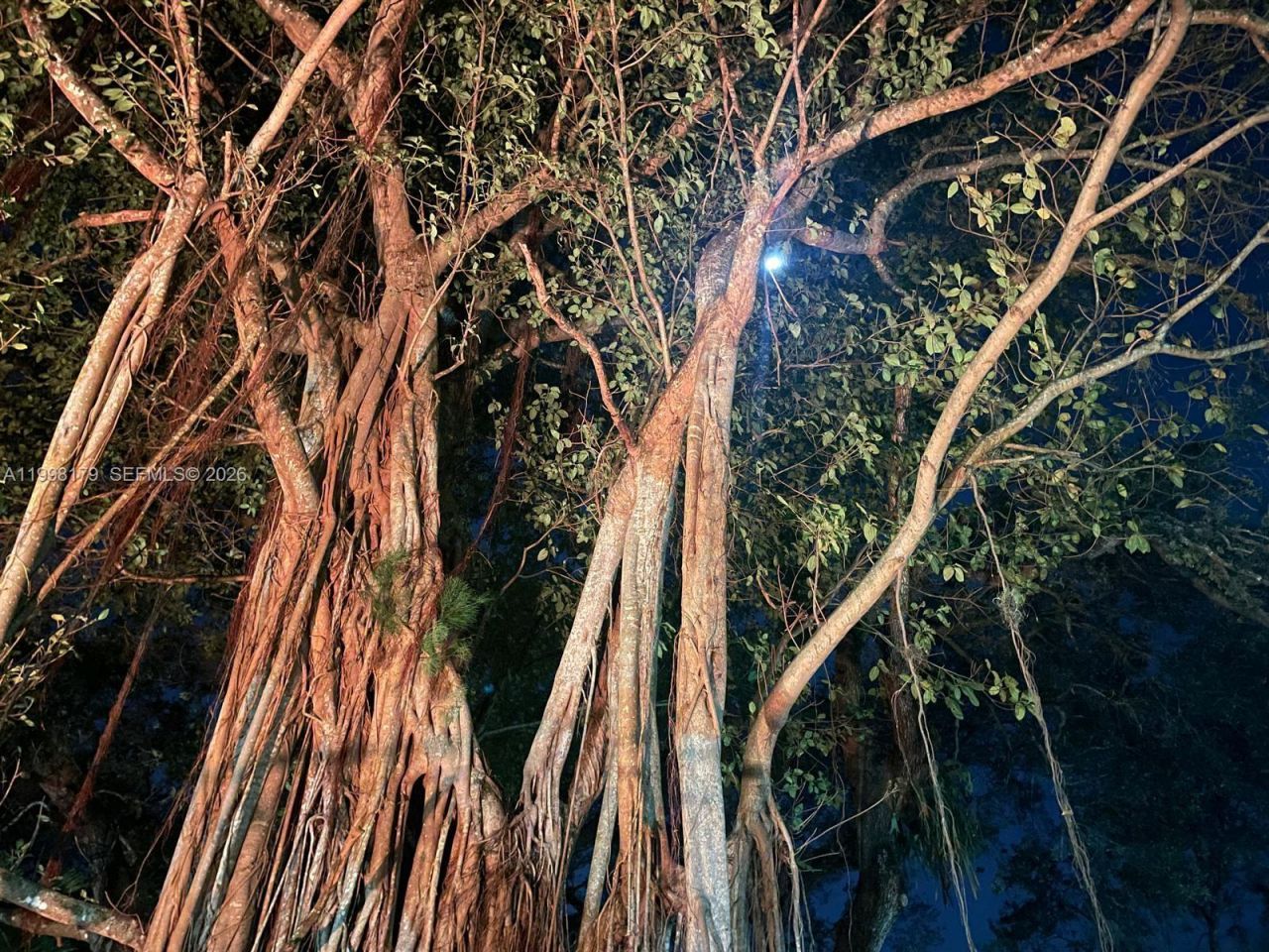 605 Ives Dairy Rd, Unit 205-7, Miami, FL 33179 Photo