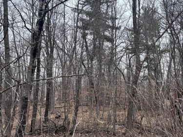 79xx Golf Estates Drive, Pequot Lakes, MN 56472