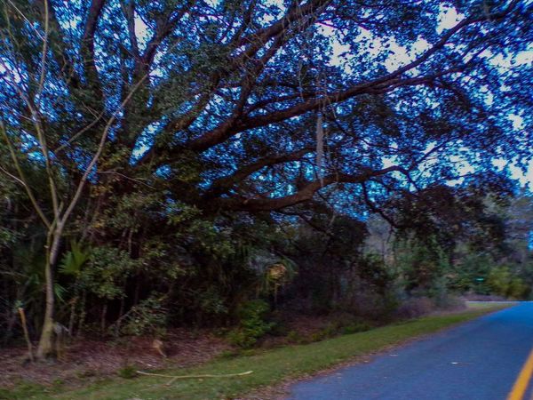 TBD SW KIMBERLY LANE, Lake City, FL 32024