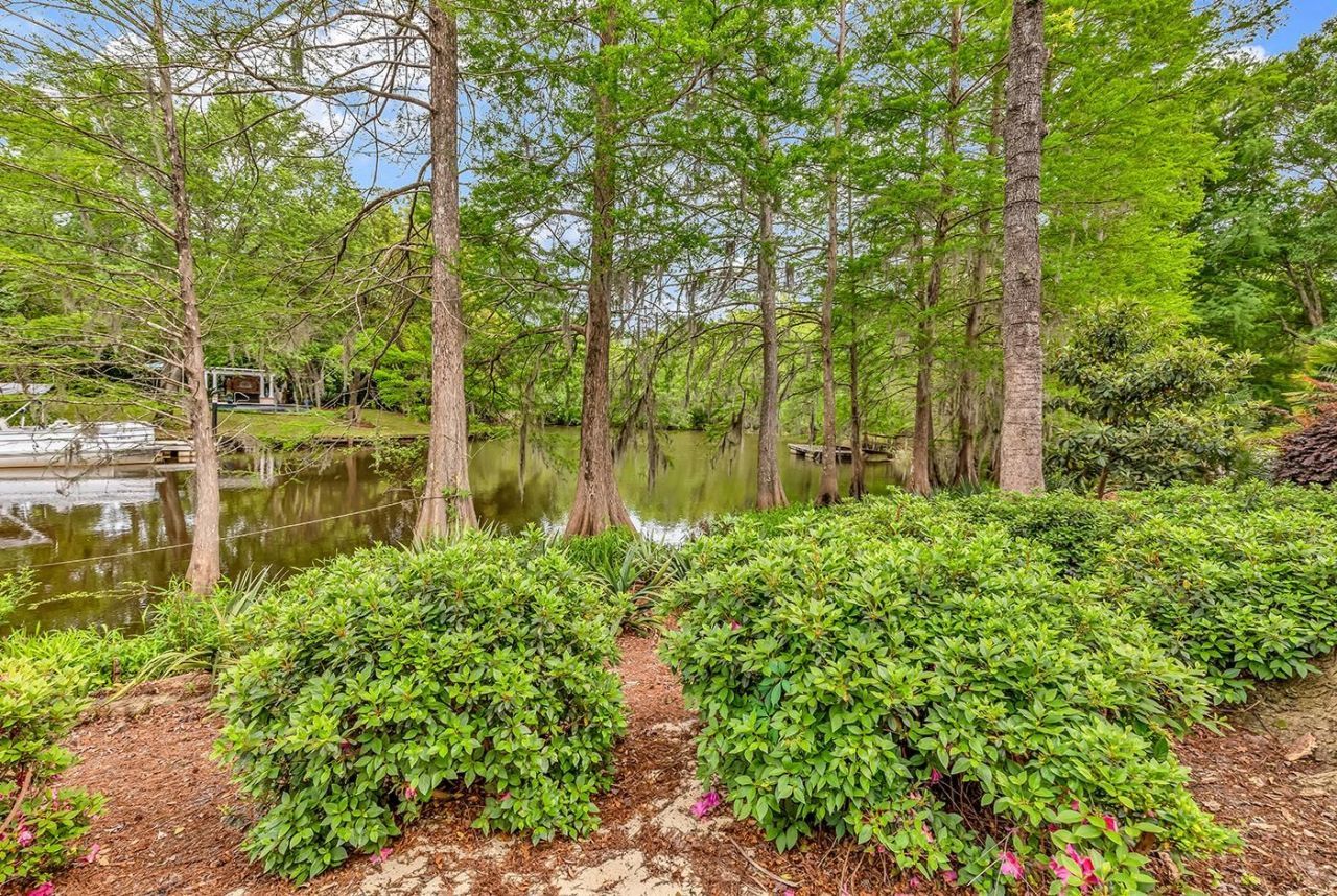 163 Angel Oak Dr. Photo 38