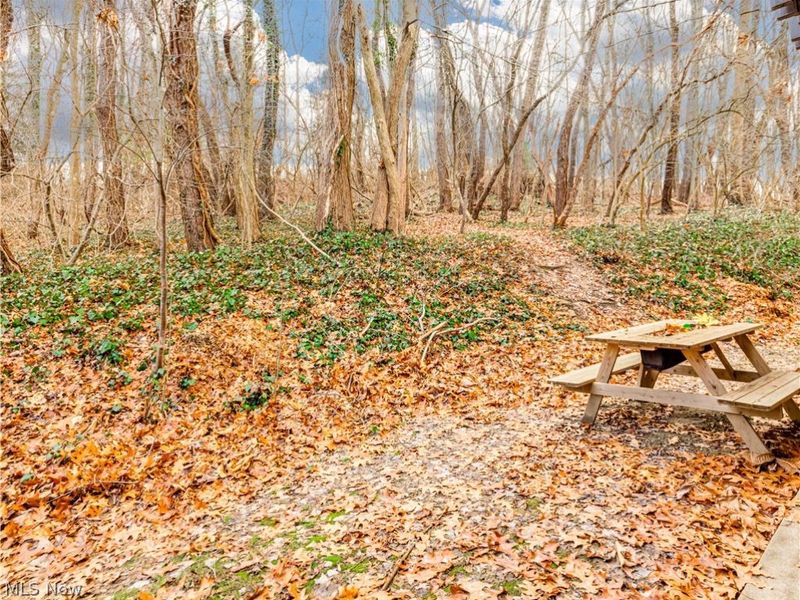 2550 Chamberlain Road , Unit A3, Fairlawn, OH 44333 Photo 3