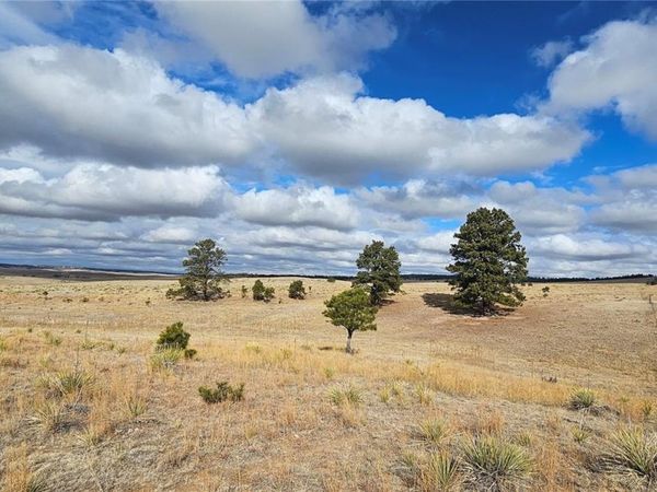 23895 County Road 144 , Agate, CO 80101