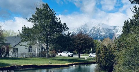 1729 Lantana Drive, Minden, NV 89423 Photo