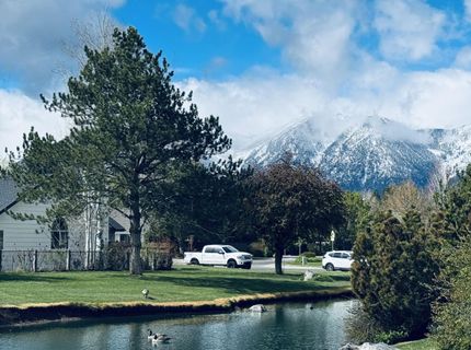 1729 Lantana Drive, Minden, NV 89423 Photo