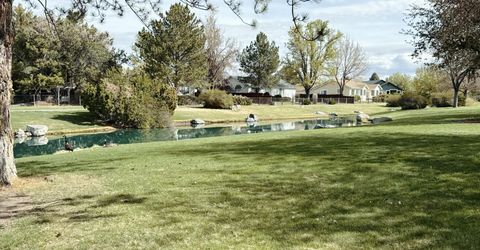 1729 Lantana Drive, Minden, NV 89423 Photo