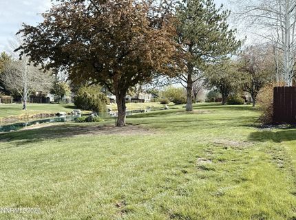 1729 Lantana Drive, Minden, NV 89423 Photo