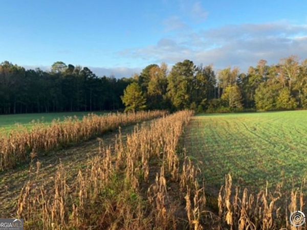 55 +/- AC Mt Carmel, Senoia, GA 30276