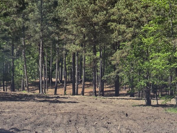 55 +/- AC Mt Carmel, Senoia, GA 30276