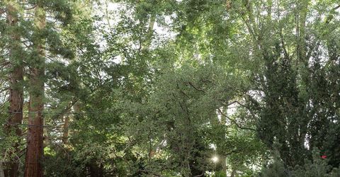 1985 Skyline Boulevard, Reno, NV 89509 Photo