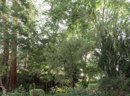 1985 Skyline Boulevard, Reno, NV 89509 Photo