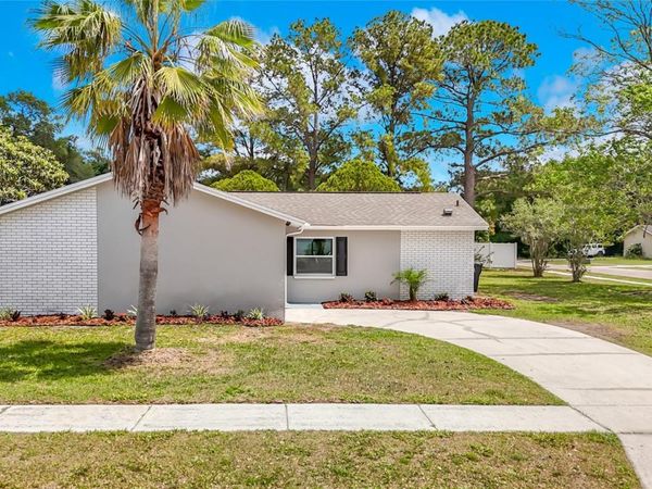 14031 ARBOR KNOLL CIRCLE , TAMPA, FL 33625