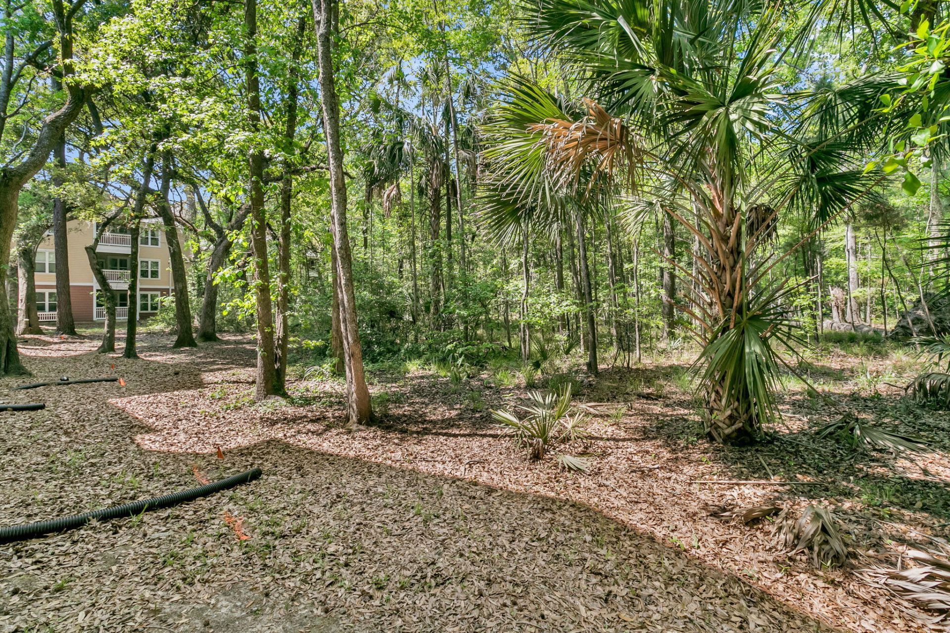 200 Bucksley Lane Photo 38