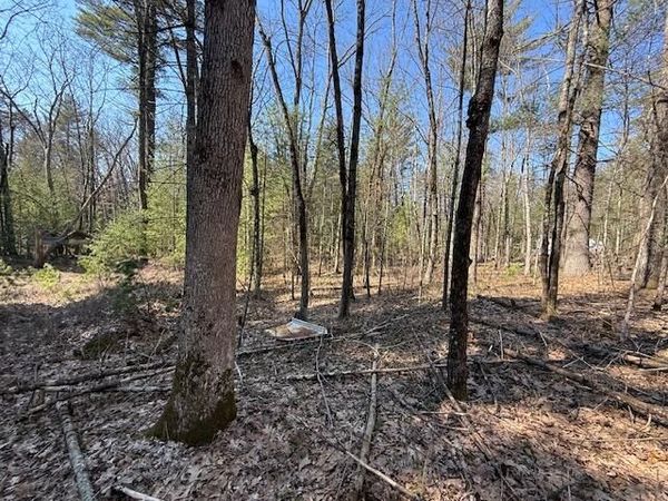 VL S Pershing Road, Baldwin, MI 49304