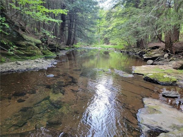 172 Eagles Ridge Way , Parksville, NY 12768