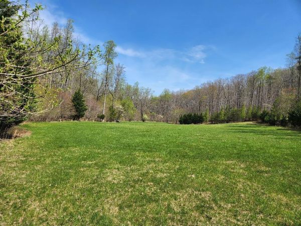 TRACT 13 SHEDD LN, Hardy, VA 24101