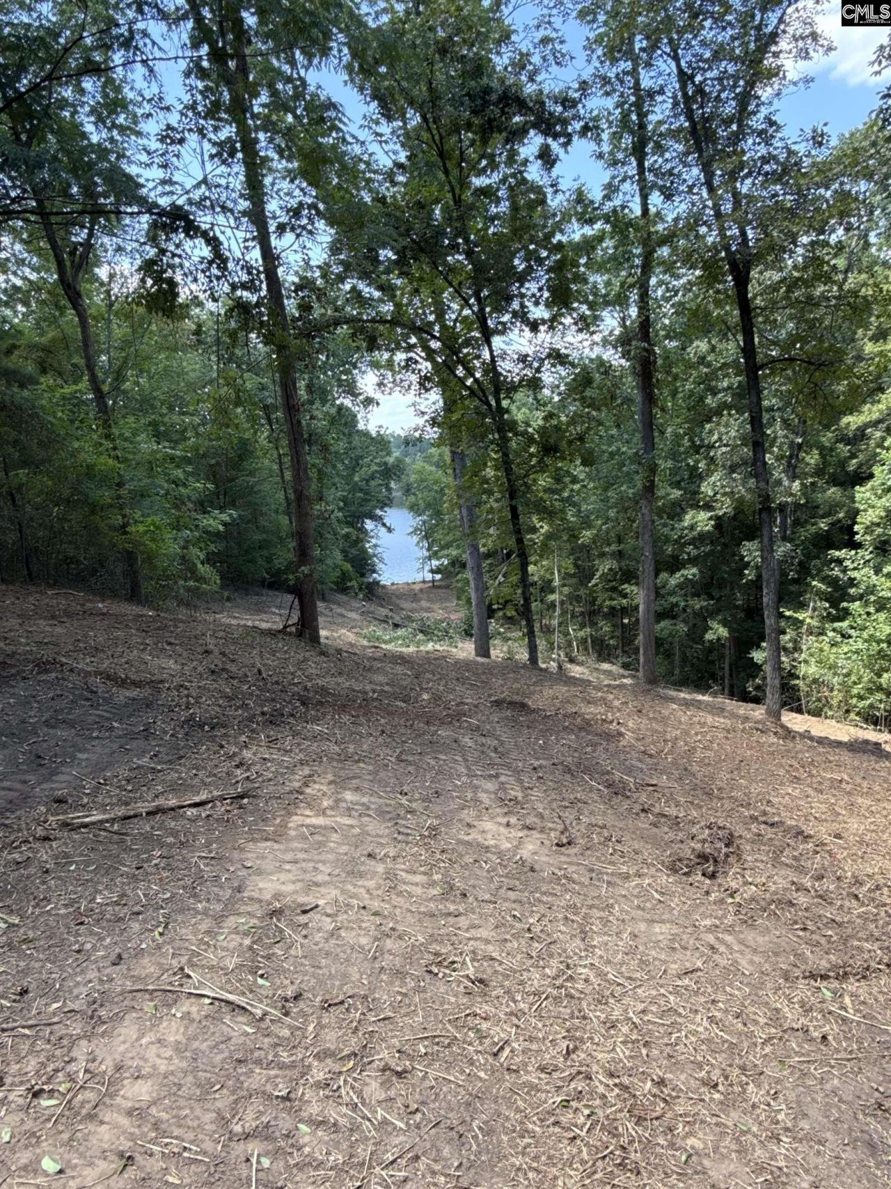 80 Valley 1 Drive Photo 7