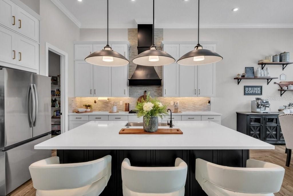 5321 Osprey Ridge Drive, Lithia, FL 33547 Photo