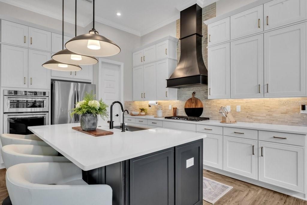 5321 Osprey Ridge Drive, Lithia, FL 33547 Photo