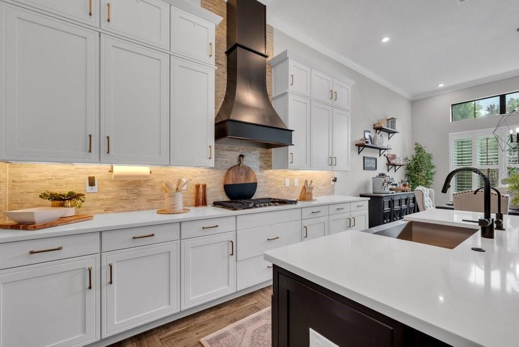 5321 Osprey Ridge Drive, Lithia, FL 33547 Photo