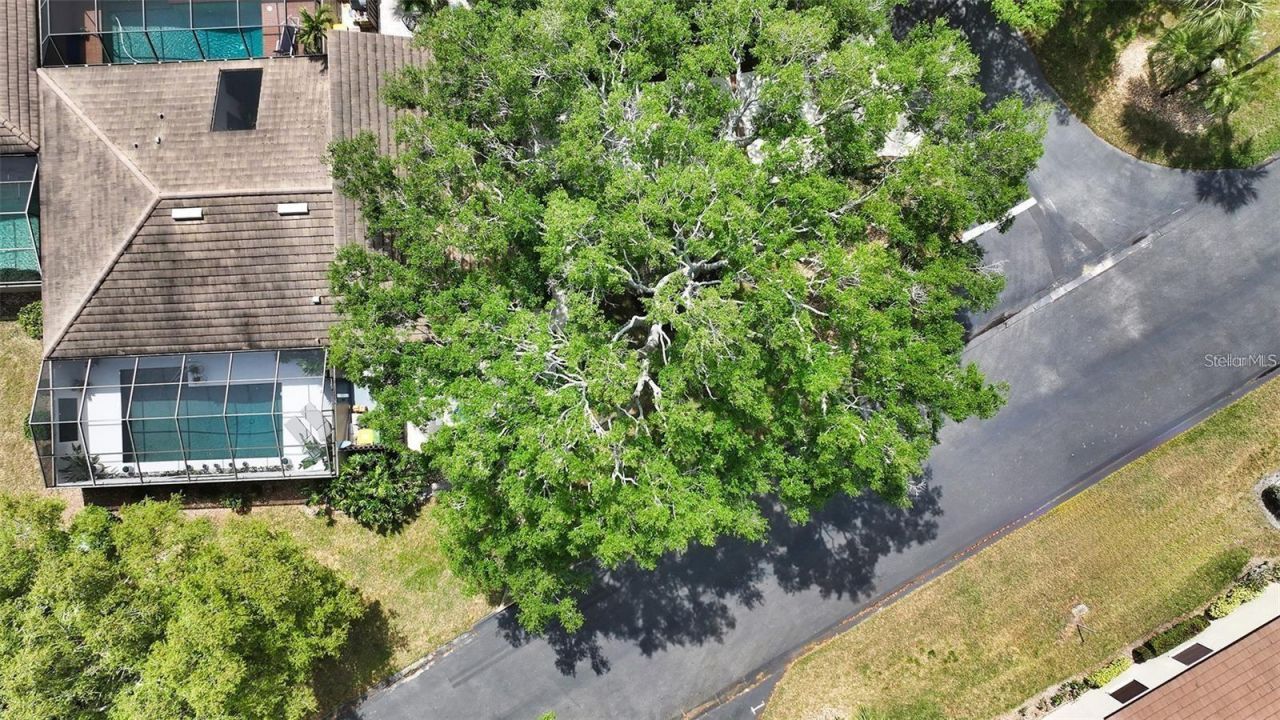 3842 Glen Oaks Manor Drive, Sarasota, FL 34232 Photo