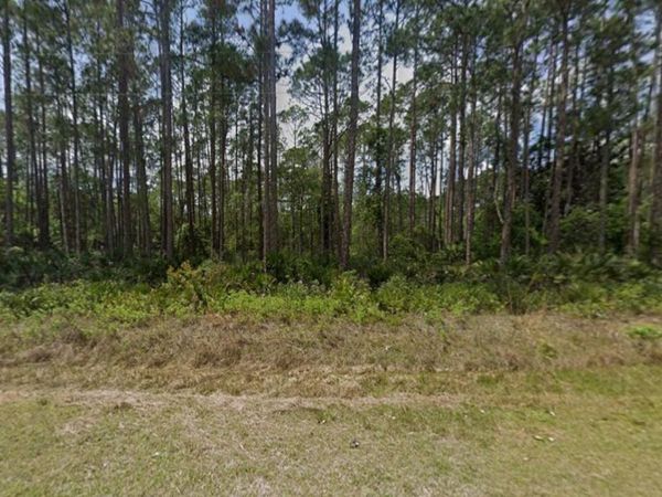 141 E BOUNDARY DRIVE , GEORGETOWN, FL 32139
