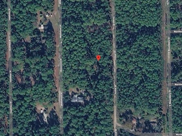 143 FOREST STREET , GEORGETOWN, FL 32139