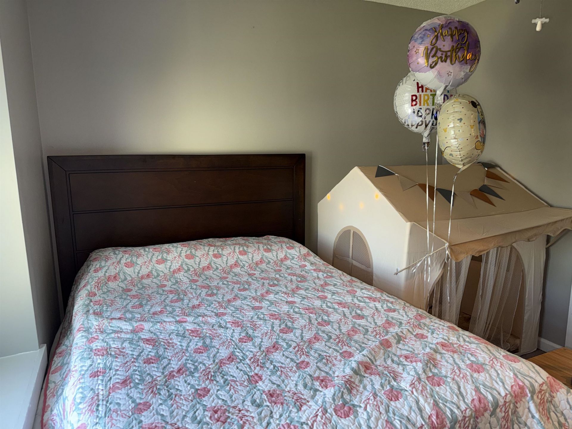 133 Whitehaven Ct. Photo 27