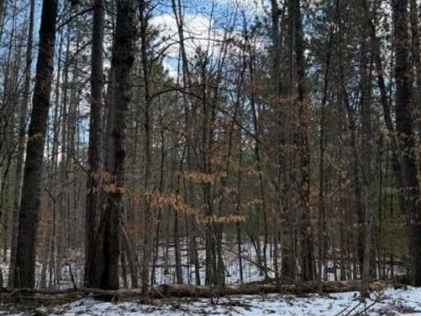 TBD E Long Lake Road, Danbury, WI 54830