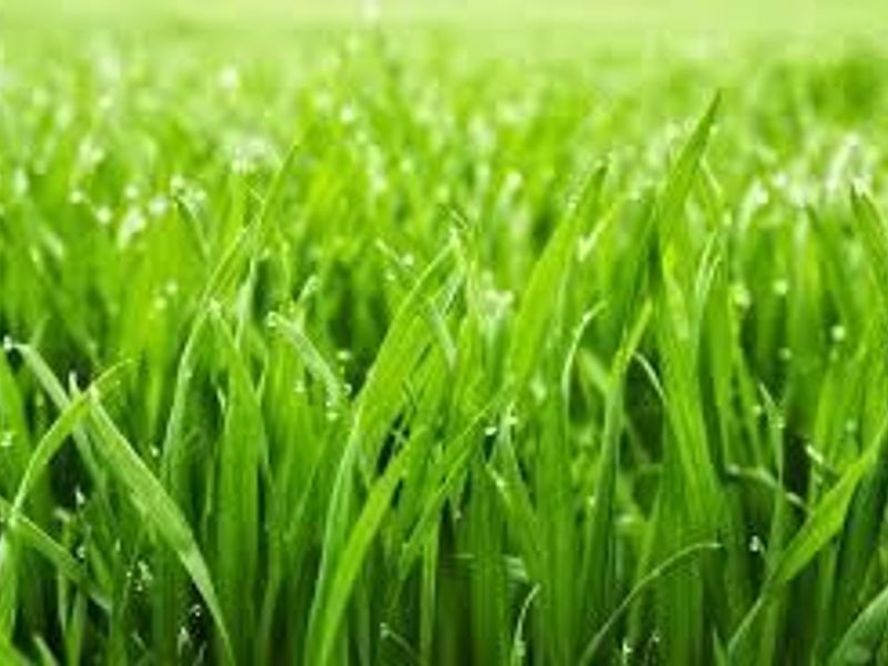 000 High Street, Piqua, OH 45356 Photo 1