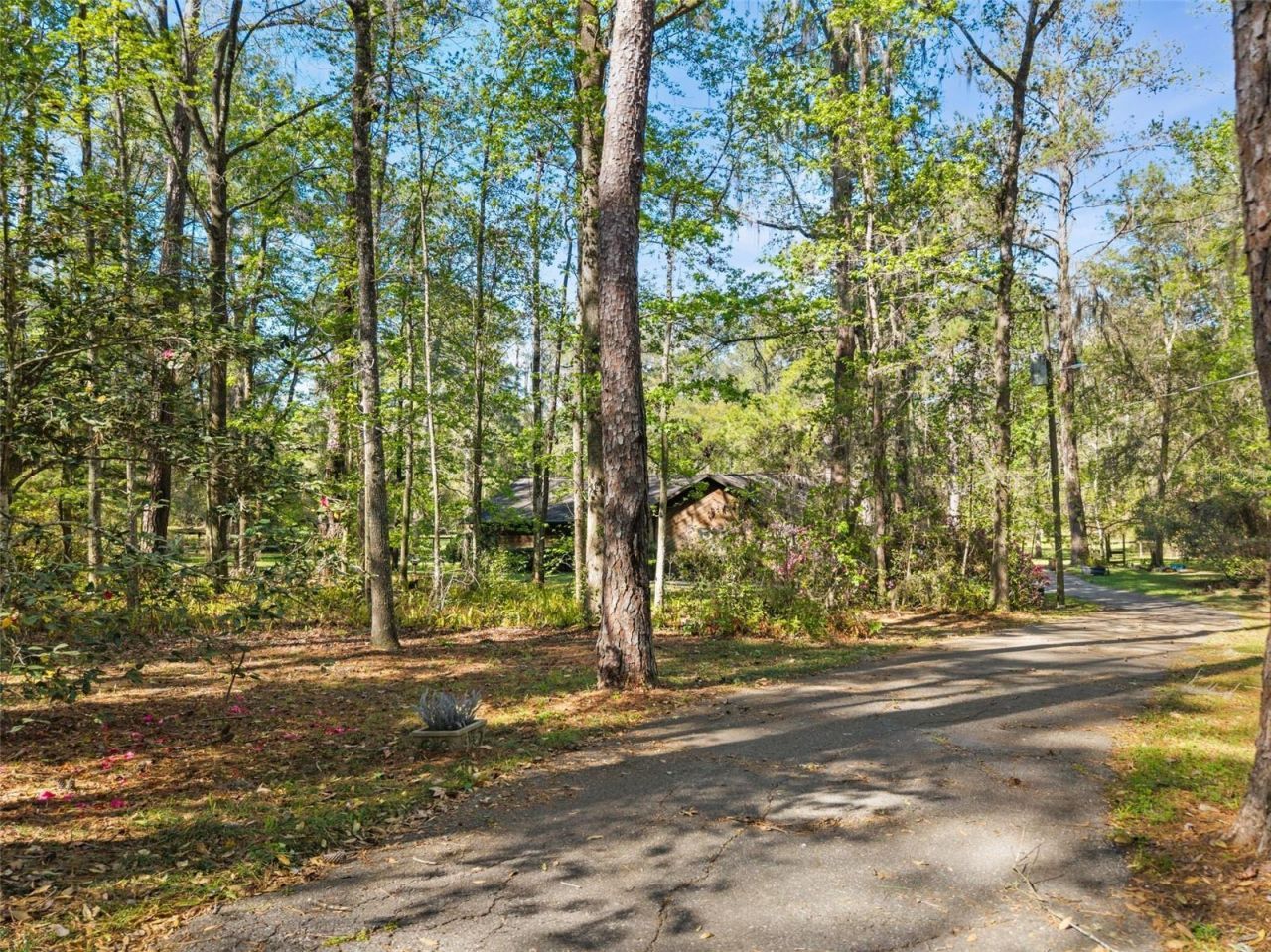 5908 NW 124th Street, Gainesville, FL 32653 Photo