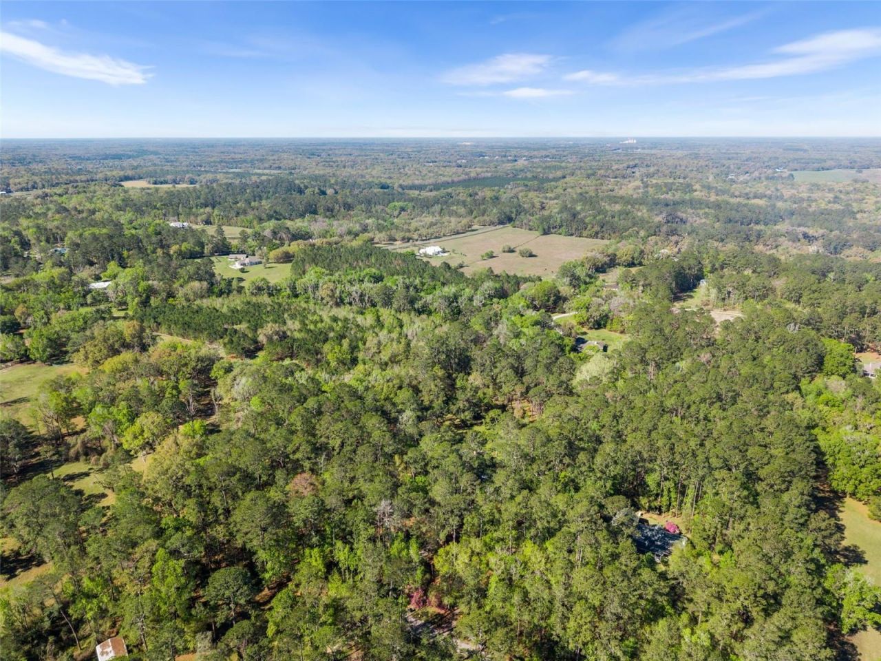 5908 NW 124th Street, Gainesville, FL 32653 Photo