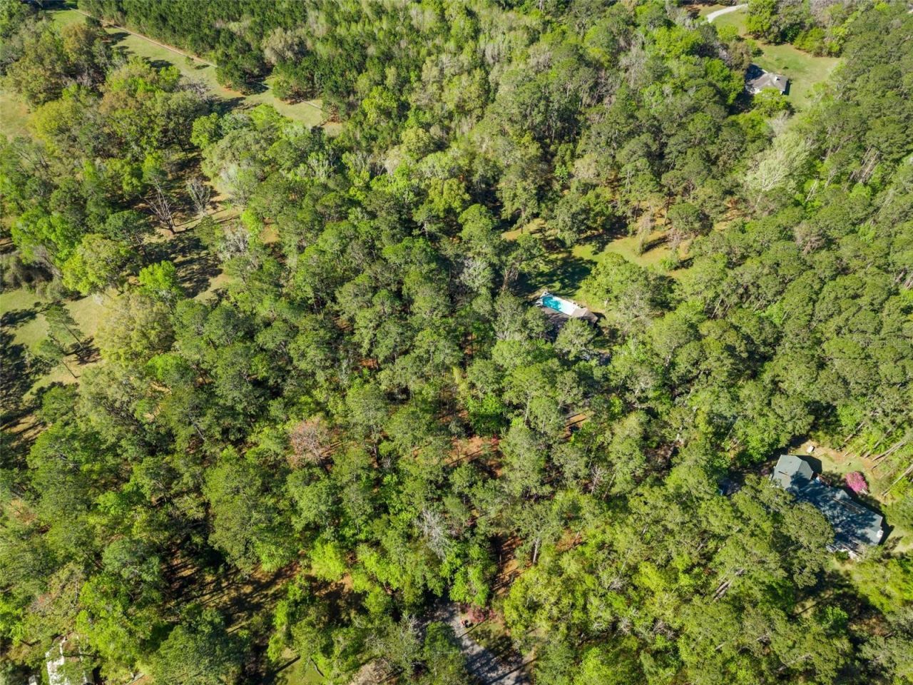 5908 NW 124th Street, Gainesville, FL 32653 Photo