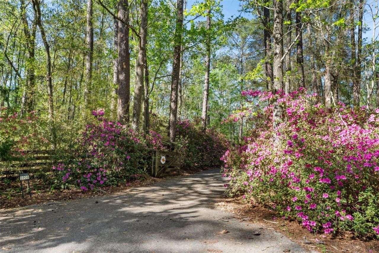 5908 NW 124th Street, Gainesville, FL 32653 Photo