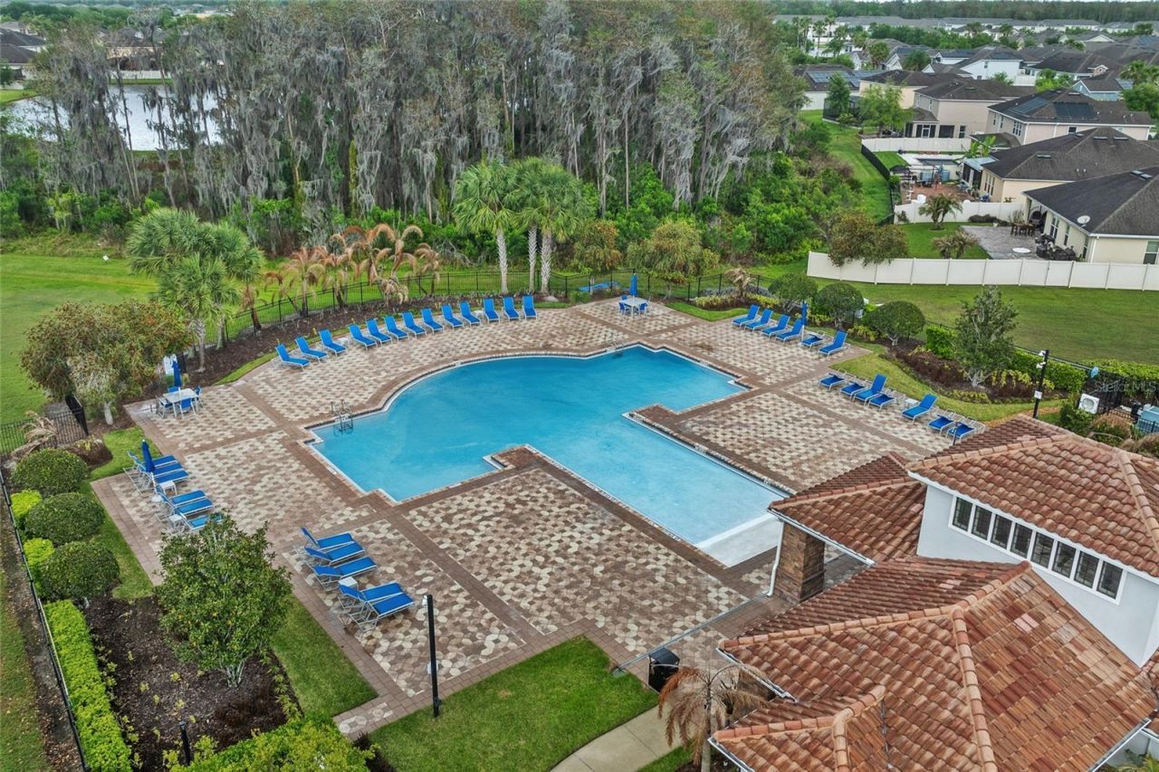 12315 Sawgrass Prairie Loop , Orlando, FL 32824 Photo