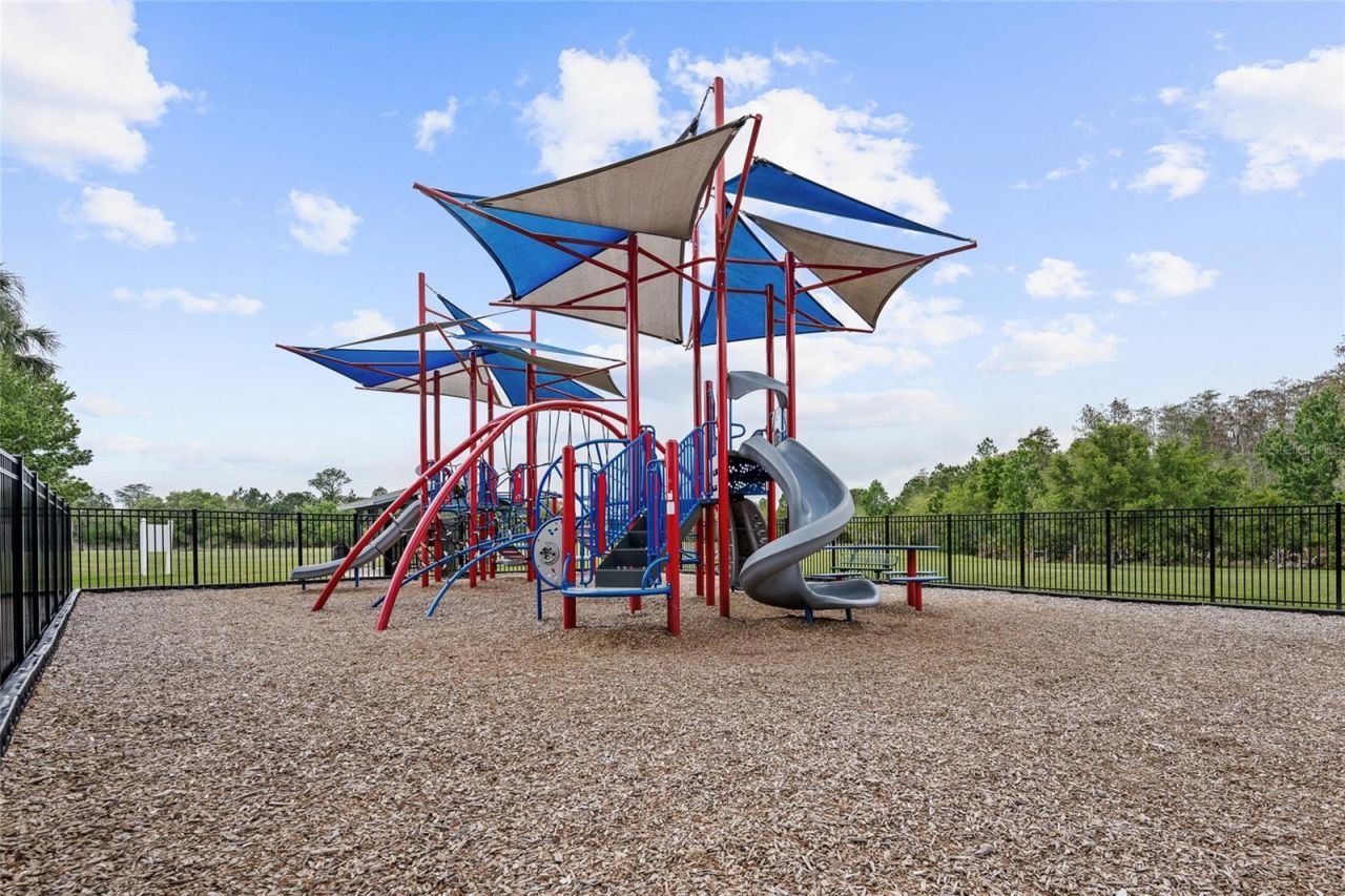 12315 Sawgrass Prairie Loop , Orlando, FL 32824 Photo