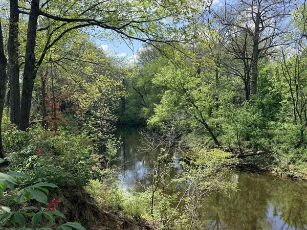 000 Sunshine , Pangburn, AR 72121