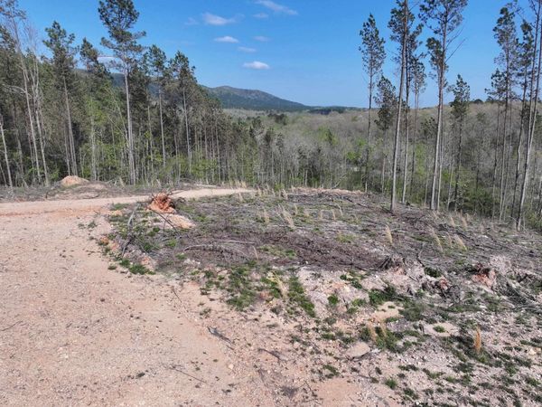 14 Palmer Mountain Rd, Caddo Gap, AR 71935